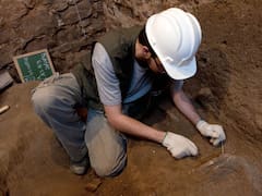 Descubrimiento arqueológico del milenio | Encuentran la obra de arte más antigua de la humanidad: tiene más de 45.000 años