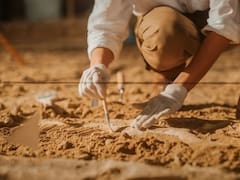 Descubrimiento del siglo: encuentran un dinosaurio con una “cobertura de espinas” que vivió hace 165 millones de años