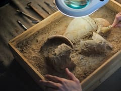 Descubrimiento del siglo: revelan cómo era la vida de la primera comunidad en China hace 5000 años