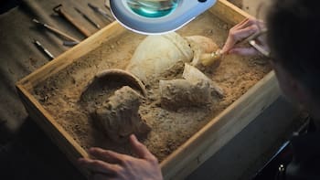 Descubrimiento del siglo: revelan cómo era la vida de la primera comunidad en China hace 5000 años