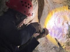 El hallazgo del siglo: descubren las pinturas más antiguas y se reescribe la historia de la humanidad