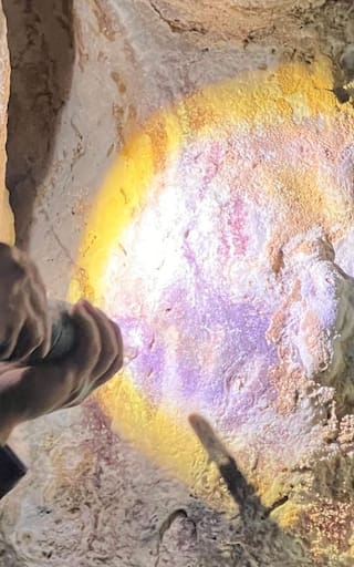 El hallazgo del siglo: descubren las pinturas más antiguas y se reescribe la historia de la humanidad