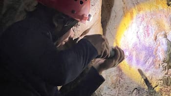 El hallazgo del siglo: descubren las pinturas más antiguas y se reescribe la historia de la humanidad