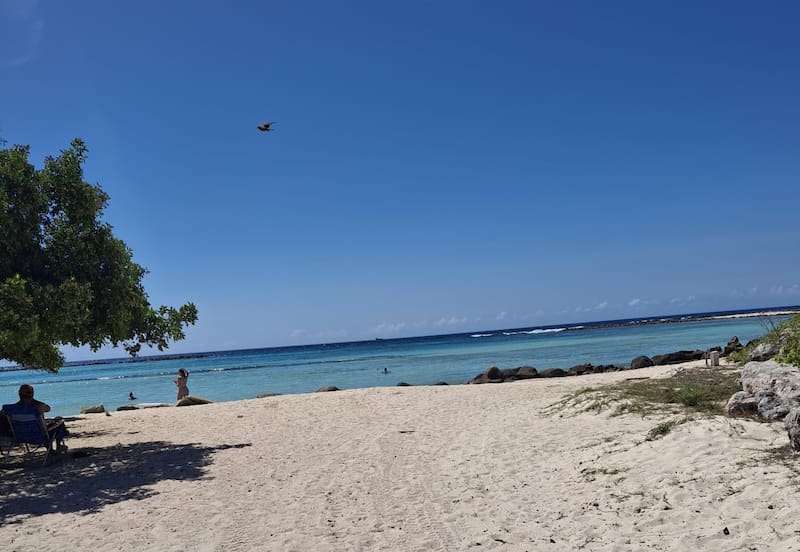 Aruba prohíbe la entrada de todos los ciudadanos extranjeros que hayan postergado la renovación de su pasaporte.