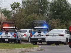 Detienen a un argentino por el sangriento homicidio del músico de Camilo Séptimo, su esposa embarazada y su hija de tres años