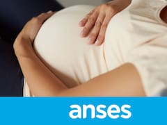 Excelente noticia de ANSES: el Gobierno extendió por un año el plazo para solicitar la Asignación por Embarazo