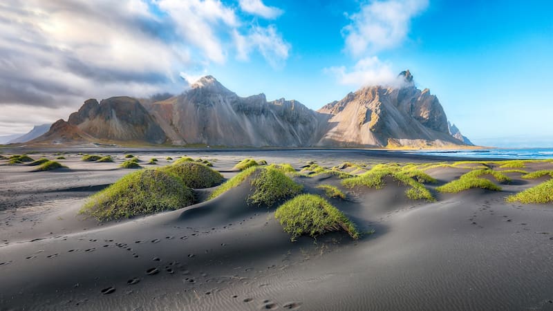 Astonishing sunny day and gorgeous rippled black sand beach with dunes and green grass on Stokksnes cape in Iceland. Location: Stokksnes cape, Vestrahorn (Batman Mount), Iceland, Europe.