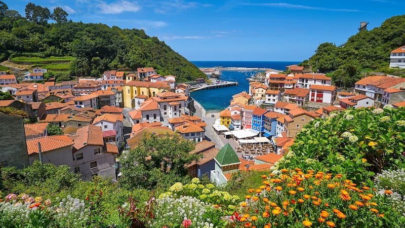 Un paraíso rural de España busca voluntarios: ofrecen hospedaje gratis por trabajar solo 3 horas al día
Créditos: Hoteles.com