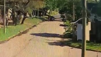 Discutió con un conocido y al día siguiente lo atropelló: el impactante video