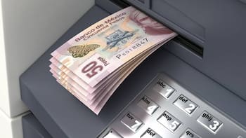 Atención contribuyentes | El SAT vigila la compra de bebidas alcohólicas y puede imponer fuertes sanciones si no cumplen esta condición