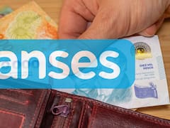 Excelente noticia de ANSES: cuánto cobra la AUH en agosto con Tarjeta Alimentar