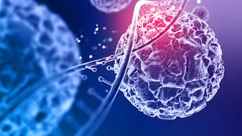 El químico invisible que está en objetos que usas a diario y puede dañar tu organismo: cómo reducir la exposición según los expertos