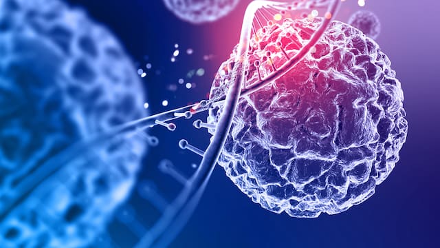 El químico invisible que está en objetos que usas a diario y puede dañar tu organismo: cómo reducir la exposición según los expertos