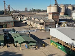 Escala el conflicto por Vicentin: Grassi reclama homologación y acusa maniobras de Molinos y LDC