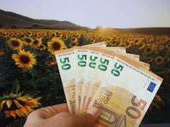 Oficial | El Gobierno pagará nuevas ayudas a agricultores de Andalucía, Extremadura, Castilla-La Mancha y estas comunidades
