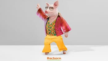 Cerdo a la africana: Bachoco abre mercado en Costa de Marfil