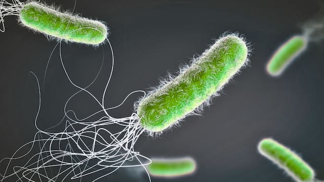 Las autoridades sanitarias temen lo peor: descubren una cepa bacteriana de 5.000 años que demostró ser resistente a 10 antibióticos modernos