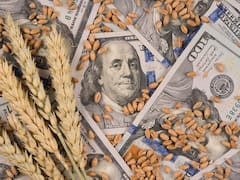 ¿Súper peso? El dólar pierde ya 7% en el 2026 y busca un piso en $ 1400