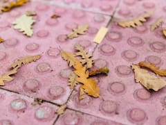 Pocos lo saben: para qué sirven las baldosas con relieve en las veredas y por qué son importantes