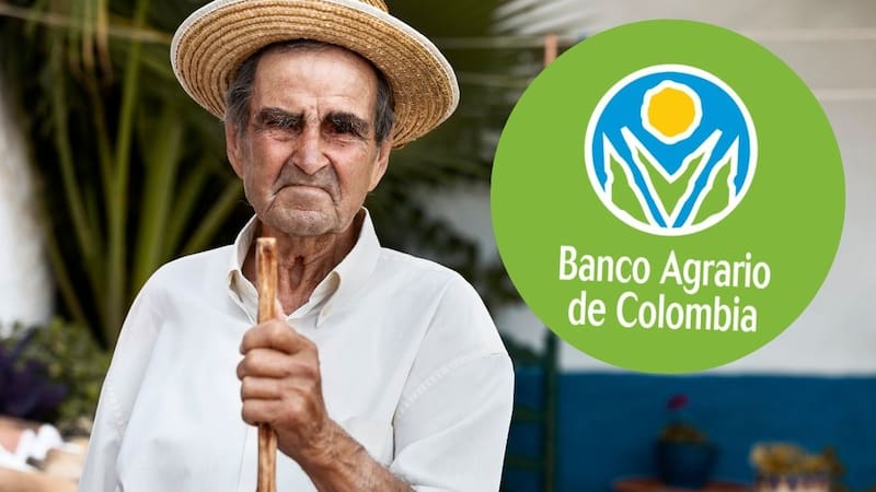 Banco Agrario | Comienzan los pagos de $500.000 a miles de hogares: cómo saber si lo recibirá en noviembre.