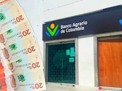 Banco Agrario otorgará 500.000 pesos en diciembre a los colombianos que figuren en esta lista única