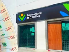Banco Agrario y Renta Ciudadana: confirmaron link oficial para acceder al pago de noviembre