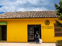 Banco Agrario y Renta Ciudadana: confirmaron link oficial para acceder al pago de noviembre