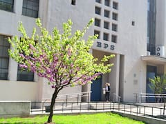 Plazo final para reconocer años trabajados: sepa hasta que fecha tiene tiempo de presentar la información