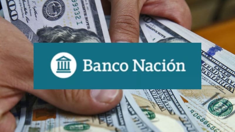 Dólar hoy: a cuánto cotiza en el Banco Nación este miércoles 26 de noviembre