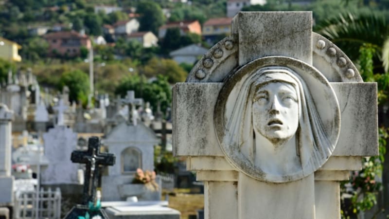 Bandas criminales roban cementerios en España para encontrar un valioso tesoro que es codiciado en el mercado. Foto: Municipio de Ourense