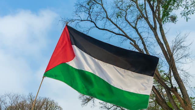 ¿Qué se dice sobre Palestina en la Biblia y cuál es el origen de sus habitantes?