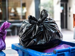 Ya es oficial | El Gobierno multará con casi $1 millón a quienes tiren colchones, muebles y escombros en la calle
