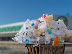Es oficial | Los supermercados que tiren la comida podrán recibir multas de 500.000 euros: la nueva medida para evitar el desperdicio