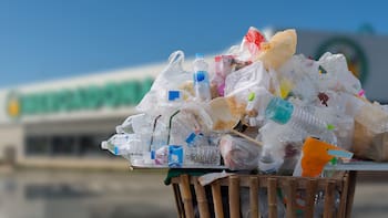 Es oficial | Los supermercados que tiren la comida podrán recibir multas de 500.000 euros: la nueva medida para evitar el desperdicio
