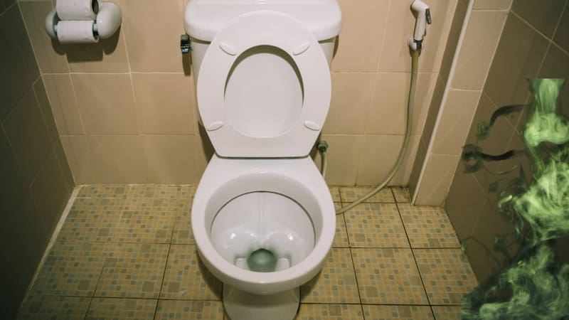 Según establece el BES de Portland, la regla de las “3P” establece que los únicos residuos que deben desecharse por el inodoro son: pipí, popó y papel higiénico. (Foto: Shutterstock)