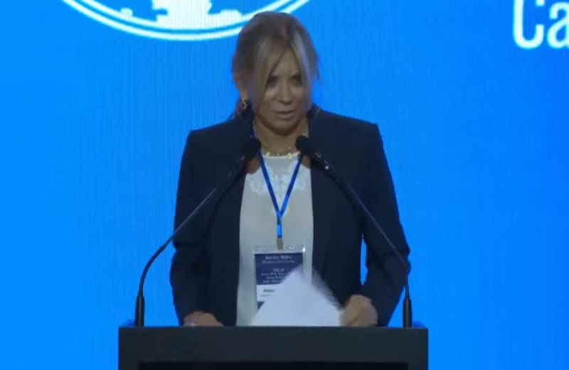 Bettina Bulgheroni: "Consolidando la disciplina fiscal, acompañada de una agenda de reformas laboral y tributaria, tendremos bases sólidas".