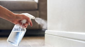 Por qué rociar con bicarbonato los zócalos de la casa y para qué sirve