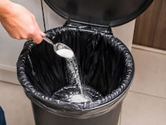 Poner bicarbonato en el fondo del tacho de basura: por qué lo recomiendan y para qué sirve