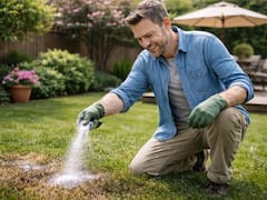 Esparcir bicarbonato de sodio en el jardín de la casa: para qué sirve, por qué lo recomiendan y cada cuánto hacerlo