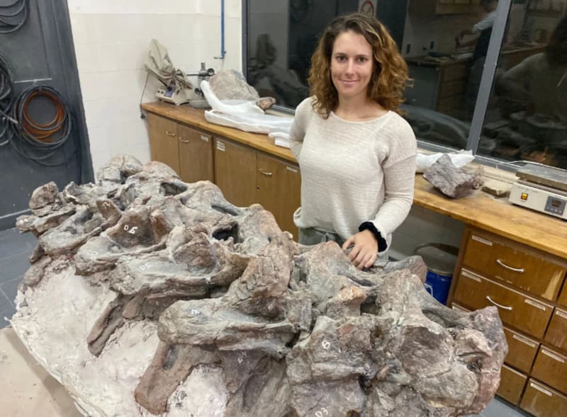 Los primeros restos descubiertos fueron los de un costillar, del que asomaban vértebras aún articuladas en el terreno.