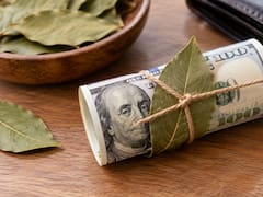 Envolver un billete de dólar con una hoja de laurel: para qué sirve y por qué muchos lo recomiendan