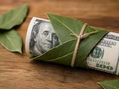 Cubrir un billete de dólar con una hoja de laurel: para qué se usa y por qué muchos lo aconsejan