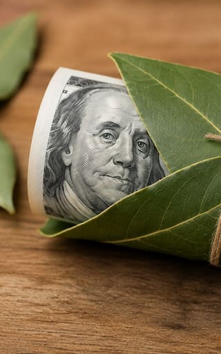 Envolver un billete de dólar con una hoja de laurel: para qué sirve y por qué muchos lo recomiendan