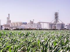 Una de las mayores productoras de bioetanol invertirá u$s 70 millones para ampliar su planta