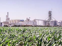 Una de las mayores productoras de bioetanol invertirá u$s 70 millones para ampliar su planta