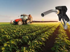 Biocombustibles: la pelea por un mercado de u$s 1000 millones que puede frenar el proyecto en el Senado