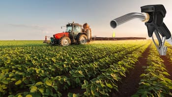 Biocombustibles: la pelea por un mercado de u$s 1000 millones que puede frenar el proyecto en el Senado