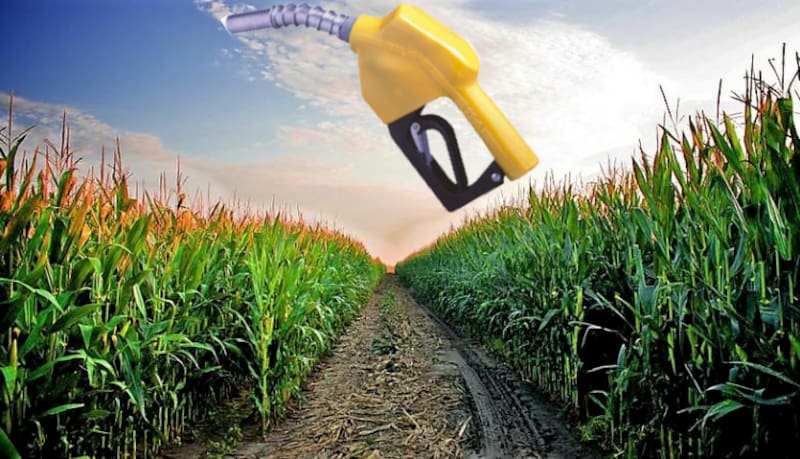 Biocombustibles: los aumentos de precios le dan energía a un sector que viene de un año record