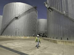 Biocombustibles: el conflicto por la letra chica del biodiésel genera ruidos en el Gobierno y con aliados