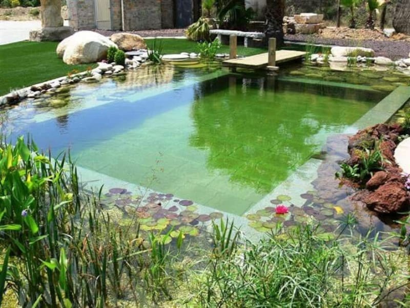 Biopiletas, la nueva alternativa sustentable en el hogar.